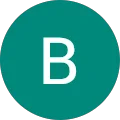 Brandie Bridgnell, verified Google reviewer